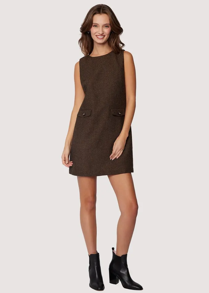 Delfina Mini Dress Brownmulti Women Lost Wander Dresses