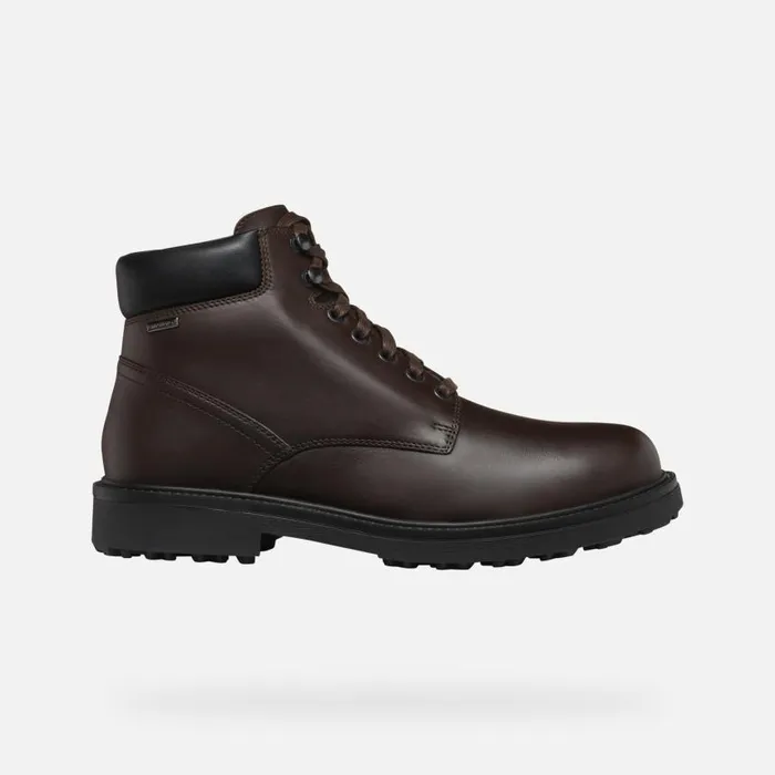 Man Geox Ankle Boots LAGORAI GRIP ABX MAN Coffee Waterproof Boots Coffee