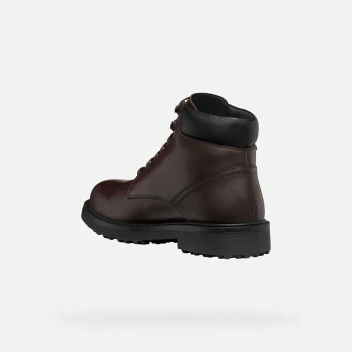 Man Geox Ankle Boots LAGORAI GRIP ABX MAN Coffee Waterproof Boots Coffee