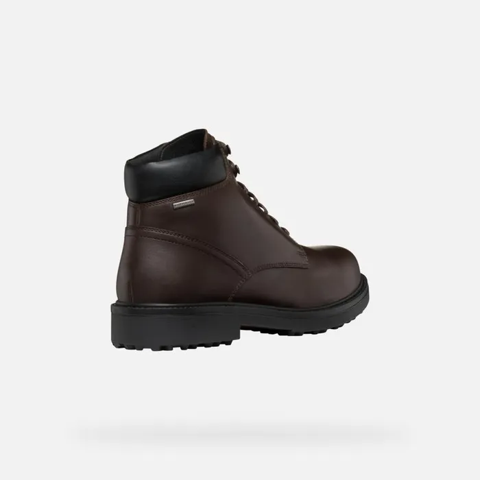 Man Geox Ankle Boots LAGORAI GRIP ABX MAN Coffee Waterproof Boots Coffee