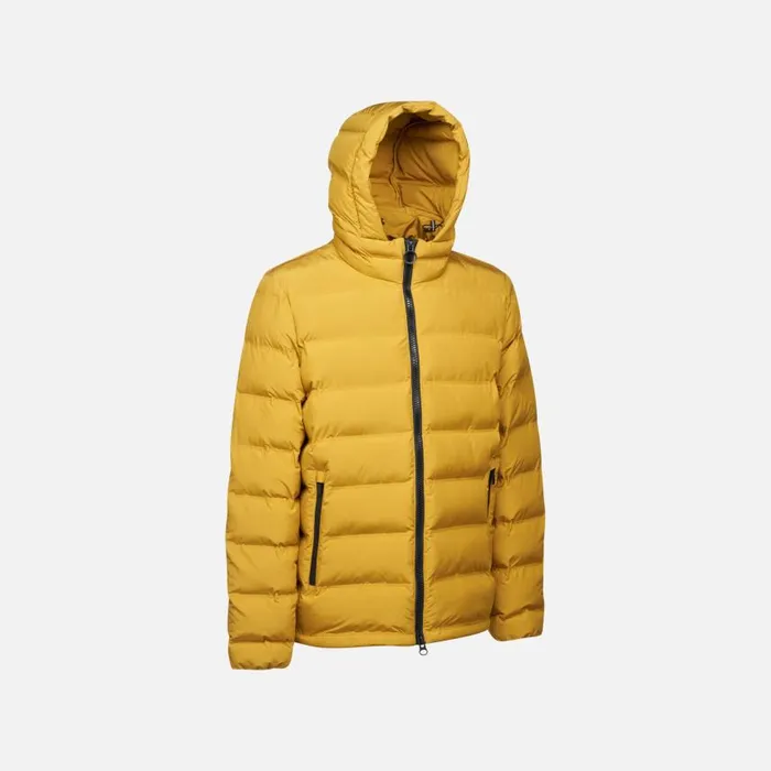 Man Geox Jackets SPHERICA MAN Harvest Gold Short Parka Harvest Gold