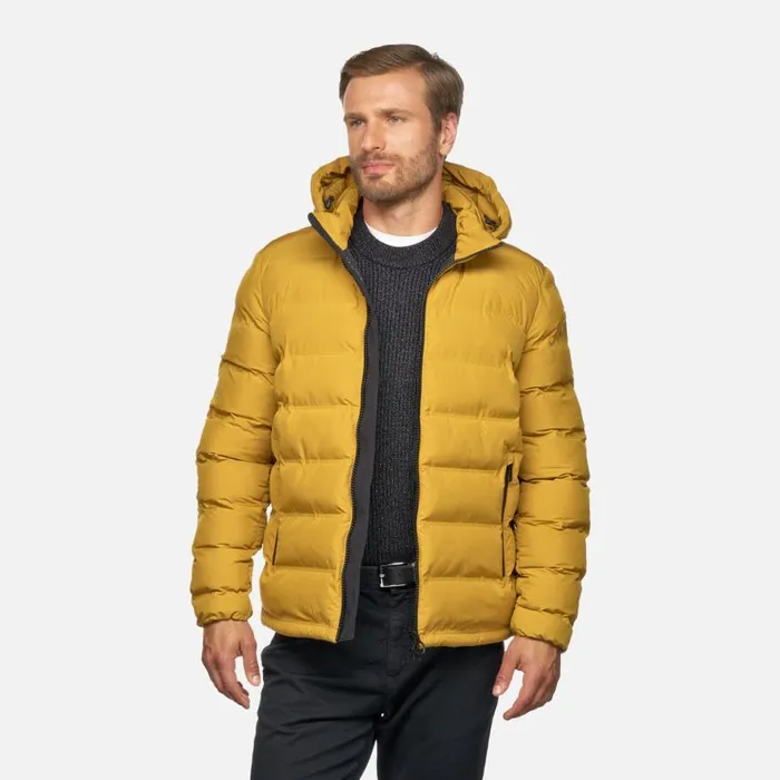 Man Geox Jackets SPHERICA MAN Harvest Gold Short Parka Harvest Gold