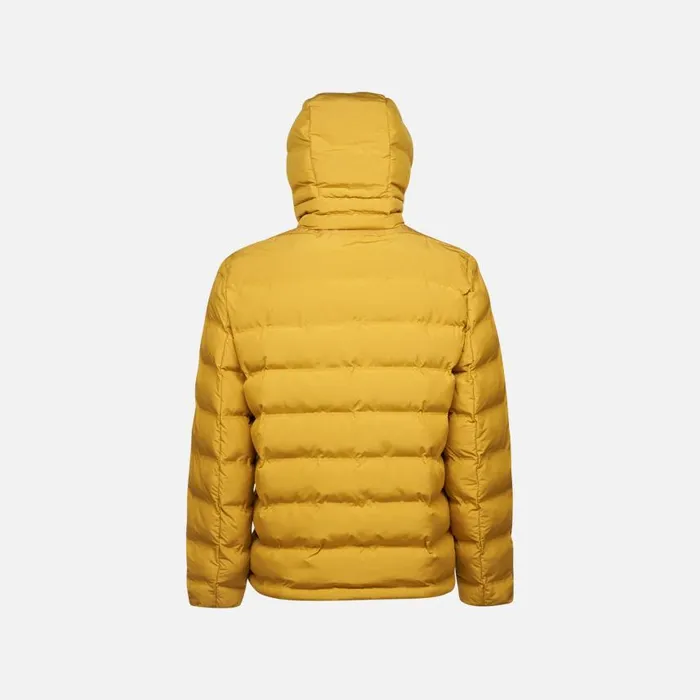 Man Geox Jackets SPHERICA MAN Harvest Gold Short Parka Harvest Gold