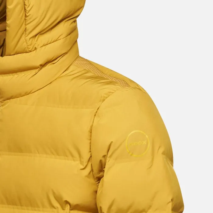 Man Geox Jackets SPHERICA MAN Harvest Gold Short Parka Harvest Gold