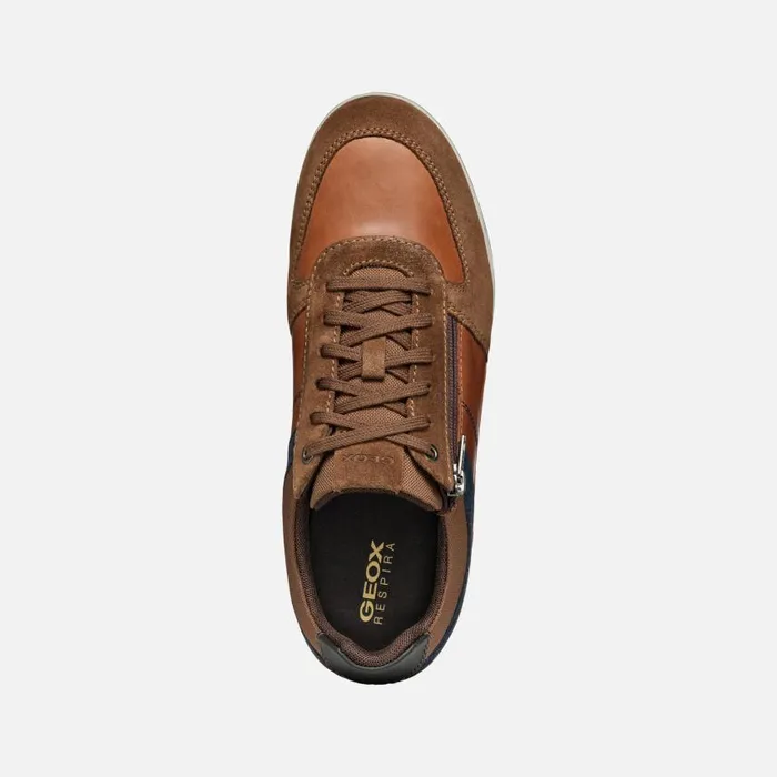 Man Geox Sneakers RENAN MAN BrowncottoNavy Low Top Sneakers Browncottonavy