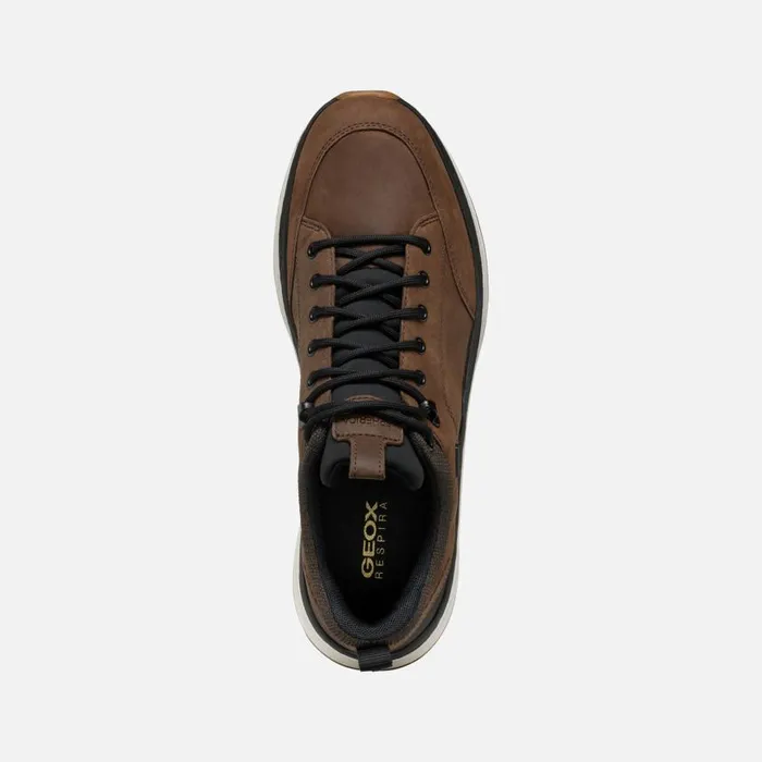 Man Geox Sneakers SPHERICA ACTIF X2 ABX MAN CoffeeBlack Low Top Sneakers Coffeeblack