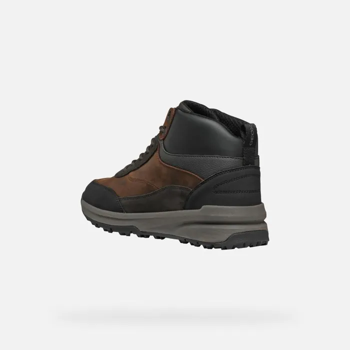 Man Geox Sneakers STERRATRAIL GRIP ABX MAN Dark Coffee Waterproof Trainers Dark Coffee