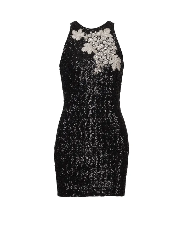 Sequin Dress With Grape Embroidery Black Women Balmain Dresses