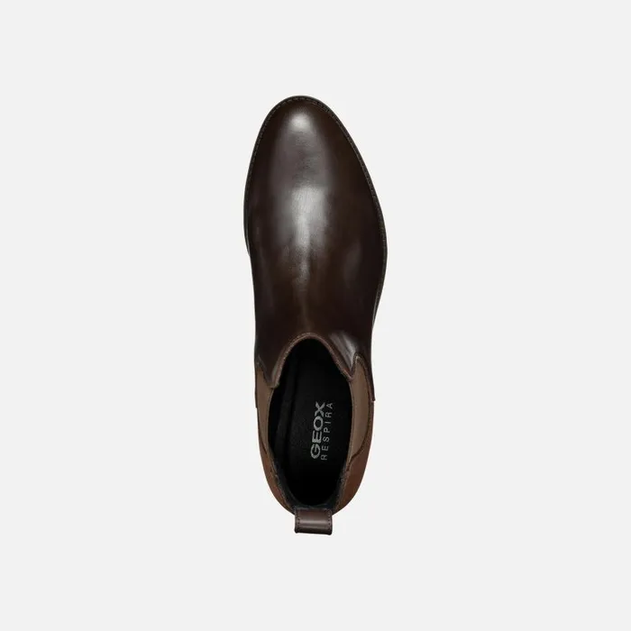 Woman Geox Ankle Boots FELICITY WOMAN Dark Brown Chelsea Boots Dark Brown
