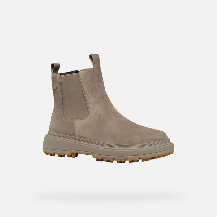 Woman Geox Ankle Boots LAMIDIE GRIP ABX WOMAN Taupe Waterproof Ankle Boots Taupe