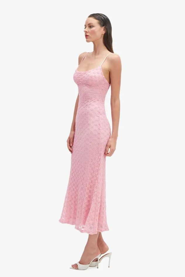 Women Day To Night Dresses Bardot Adoni Mesh Midi Dress In Lili Pink Lili Pink