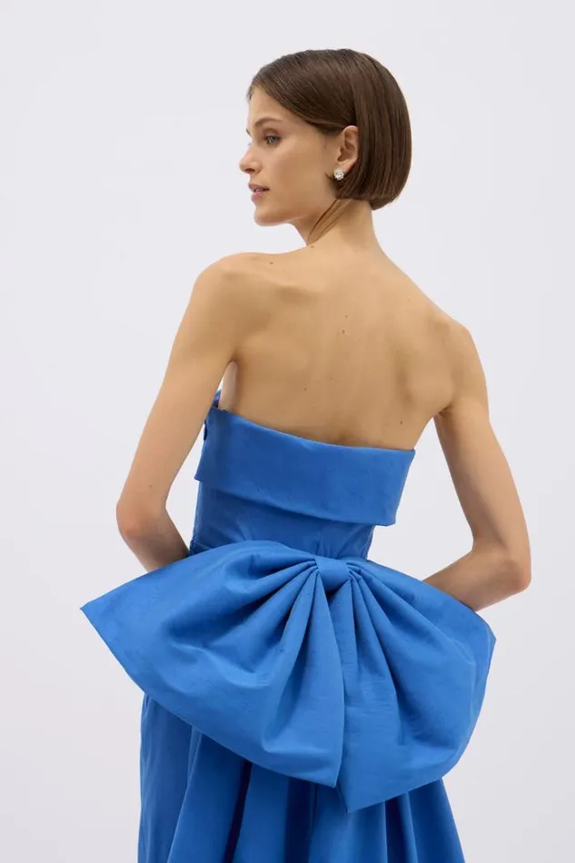 Women Evening Dresses Rachel Gilbert BIRDIE GOWN Women Evening Dresses Rachel Gilbert BIRDIE GOWN
