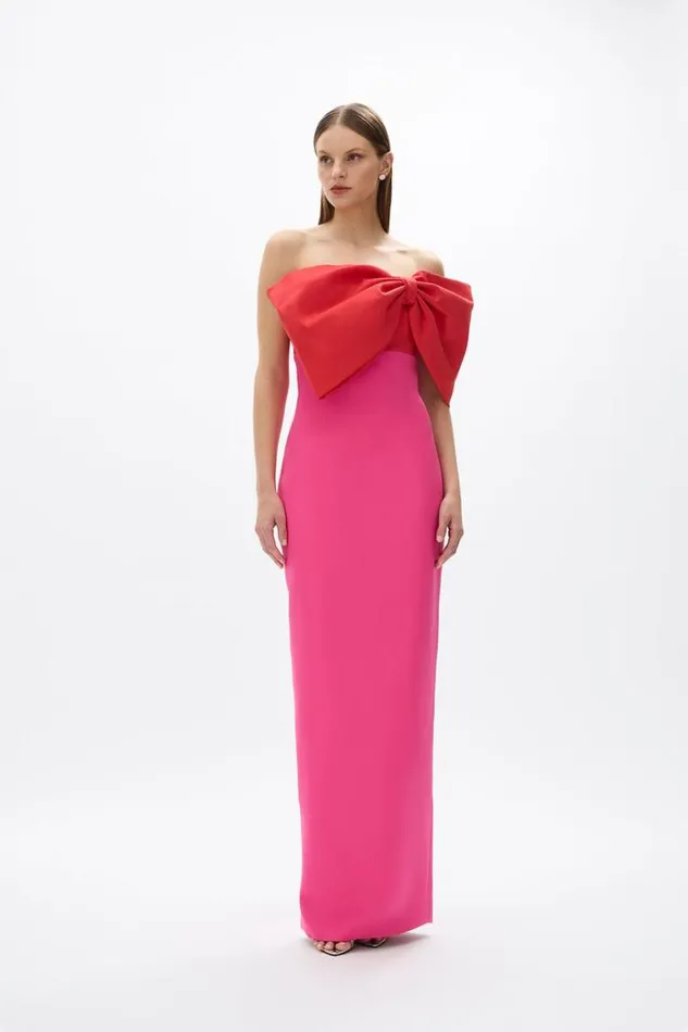 Women Maxi Dresses Rachel Gilbert Kace Gown Hot PinkRed