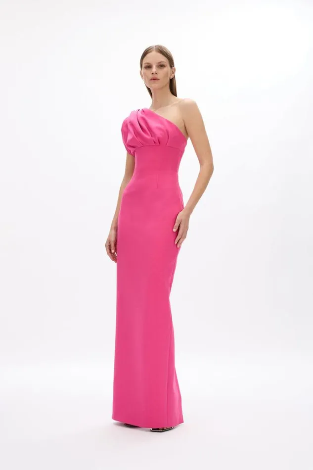 Women Maxi Dresses Rachel Gilbert Winnie Gown Hot Pink Shop Rachel Gilbert Online