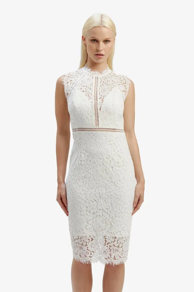 Women Occasion Dresses Bardot Lace Panel Dress In Orchid White Orchid White