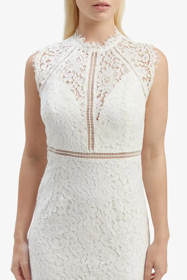 Women Occasion Dresses Bardot Lace Panel Dress In Orchid White Orchid White