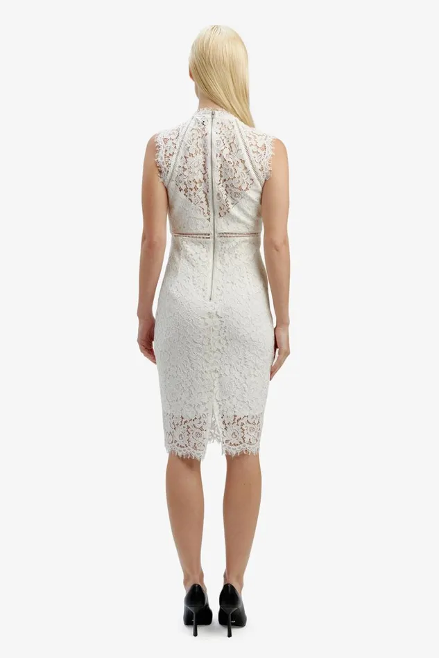 Women Occasion Dresses Bardot Lace Panel Dress In Orchid White Orchid White