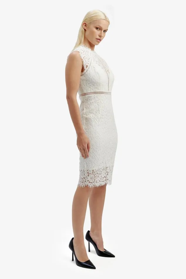 Women Occasion Dresses Bardot Lace Panel Dress In Orchid White Orchid White