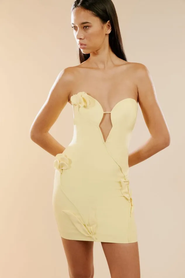 Women Party Dresses Bardot Eleni Flower Detail Mini Dress In Canary Yellow Canary Yellow Women Party Dresses Bardot Eleni Flower Detail Mini Dress In Canary Yellow Canary Yellow